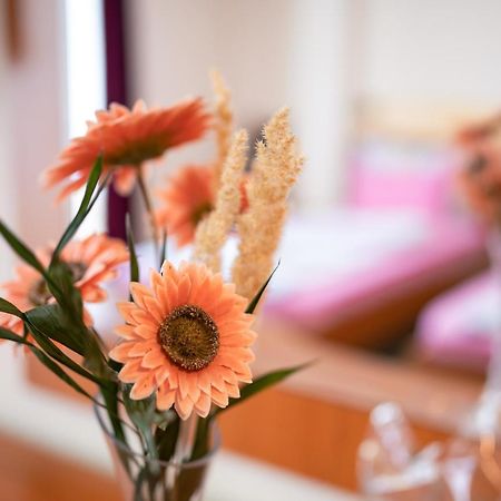 Hotel Holiday-M Охрид Экстерьер фото